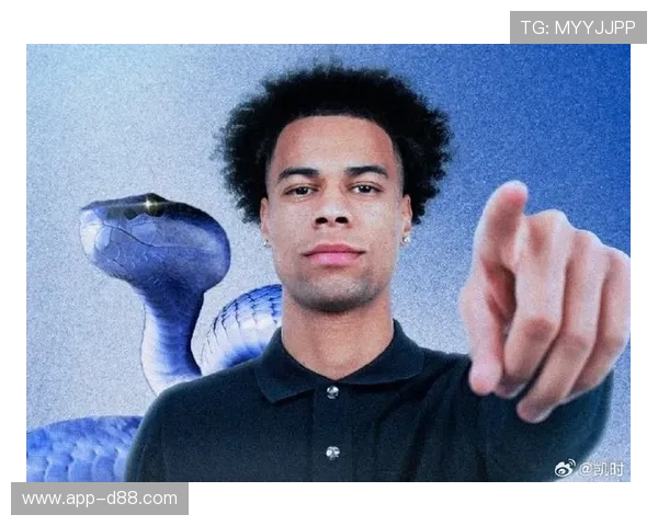 探秘凯时尊龙官网，了解其独特的游戏特色和安全保障机制