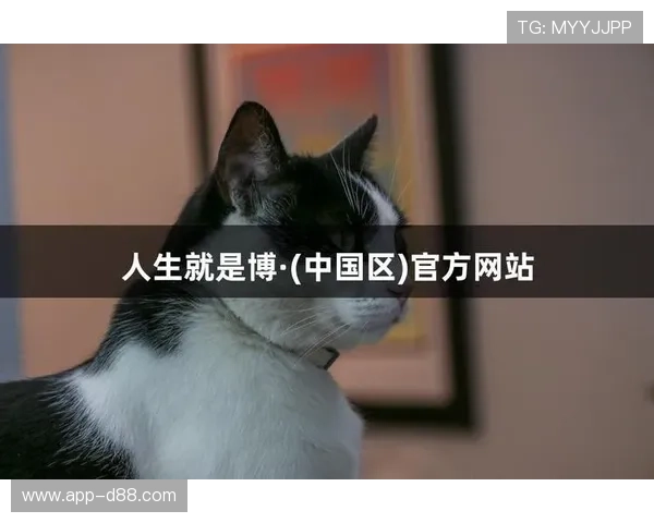 揭秘尊龙人生就是博官网登陆的热门游戏，推荐适合新手与老玩家的经典之作