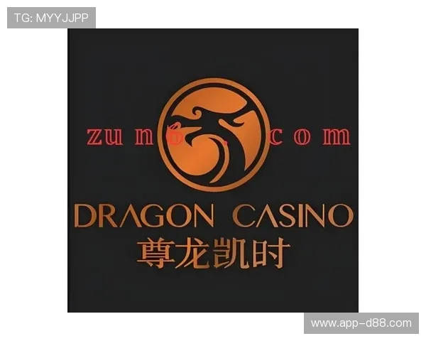 凯时尊龙app官网登录客服支持服务，全天候在线解答玩家疑问提供专业帮助