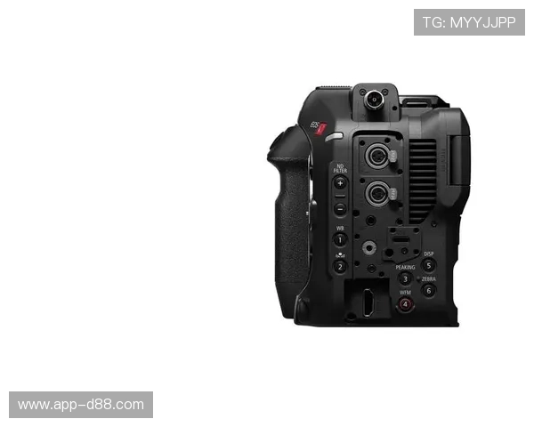 深度解析d88尊龙z6官网，揭开成功的秘诀与保障